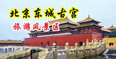 乌克兰18极品XX00白浆中国北京-东城古宫旅游风景区