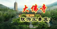 大黑屌插骚穴射液中国浙江-新昌大佛寺旅游风景区
